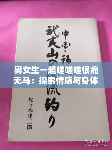 男女生一起嗟嗟嗟很痛无马：探索情感与身体的边界