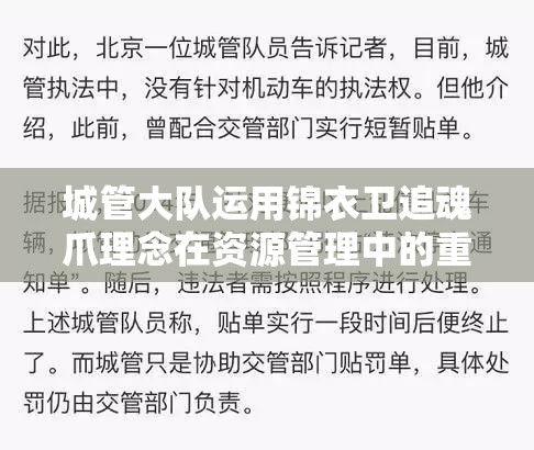 城管大队运用锦衣卫追魂爪理念在资源管理中的重要性及高效策略解析