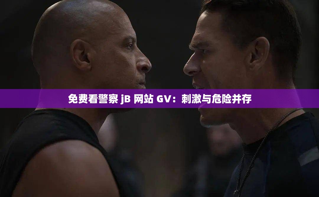 免费看警察 jB 网站 GV：刺激与危险并存