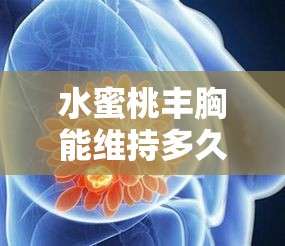 水蜜桃丰胸能维持多久：深度剖析其时效与影响因素