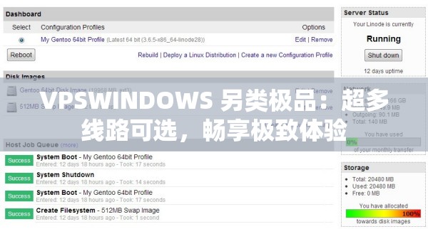 VPSWINDOWS 另类极品：超多线路可选，畅享极致体验