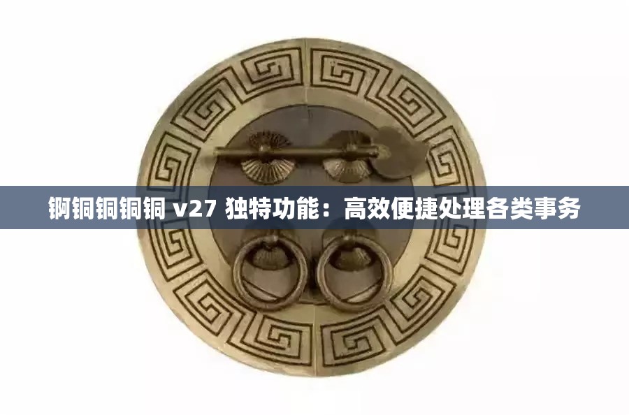 锕铜铜铜铜 v27 独特功能：高效便捷处理各类事务