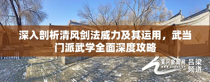 深入剖析清风剑法威力及其运用，武当门派武学全面深度攻略