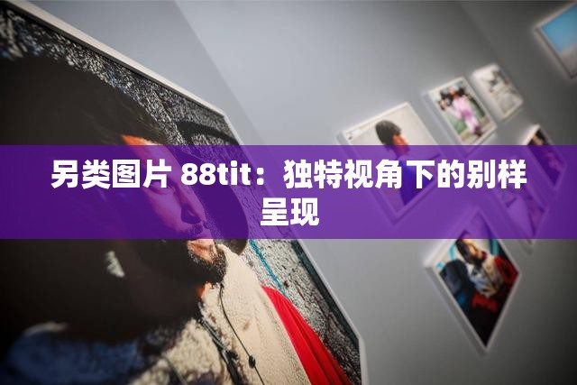 另类图片 88tit：独特视角下的别样呈现