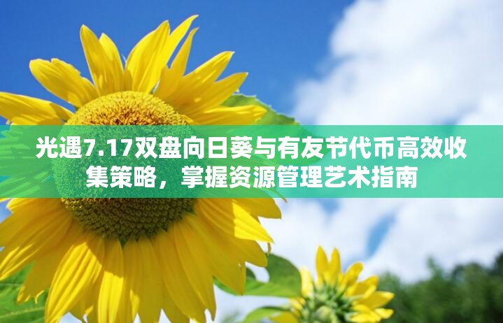 光遇7.17双盘向日葵与有友节代币高效收集策略，掌握资源管理艺术指南