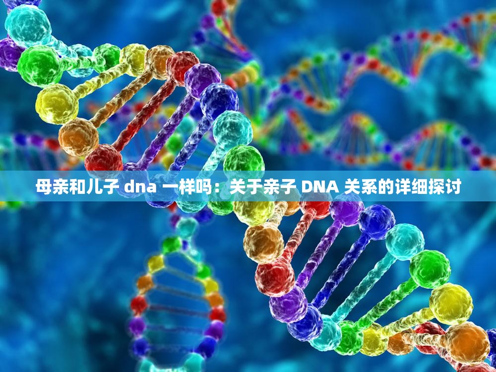 母亲和儿子 dna 一样吗：关于亲子 DNA 关系的详细探讨