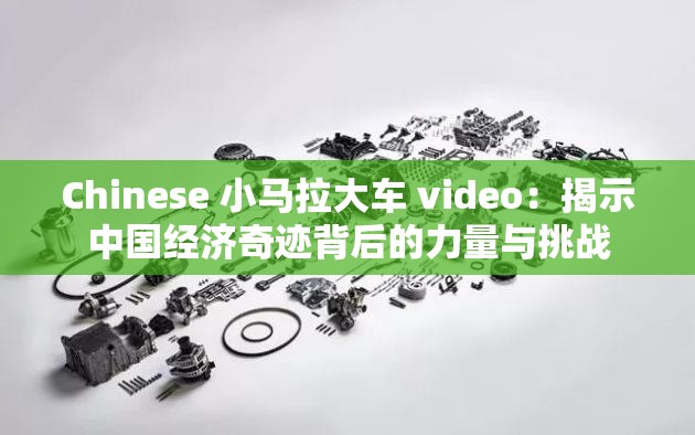 Chinese 小马拉大车 video：揭示中国经济奇迹背后的力量与挑战