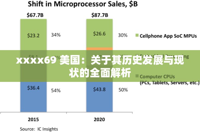xxxx69 美国：关于其历史发展与现状的全面解析