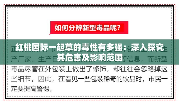 红桃国际一起草的毒性有多强：深入探究其危害及影响范围