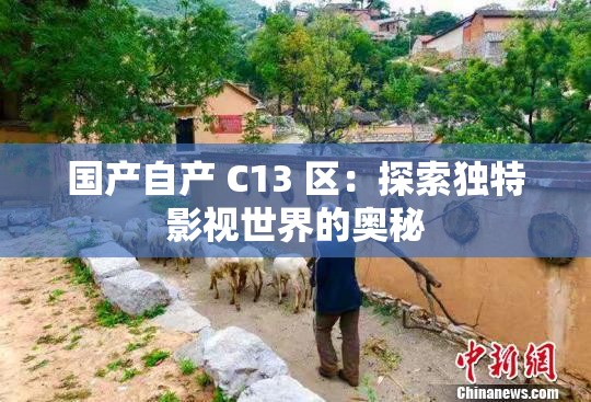 国产自产 C13 区：探索独特影视世界的奥秘