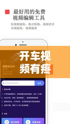 开车视频有疼痛的声音 APP：一款独特的视频应用