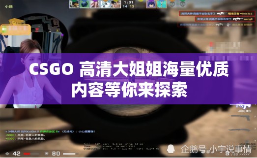 CSGO 高清大姐姐海量优质内容等你来探索