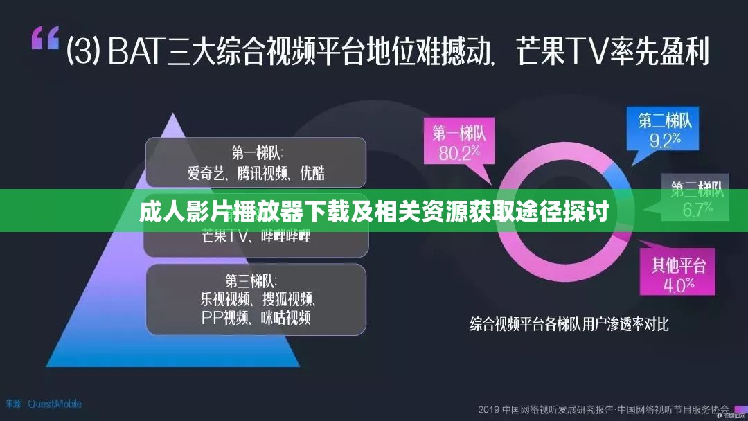 成人影片播放器下载及相关资源获取途径探讨