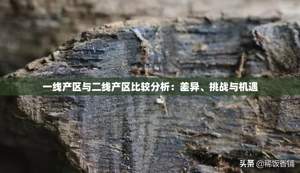 一线产区与二线产区比较分析：差异、挑战与机遇