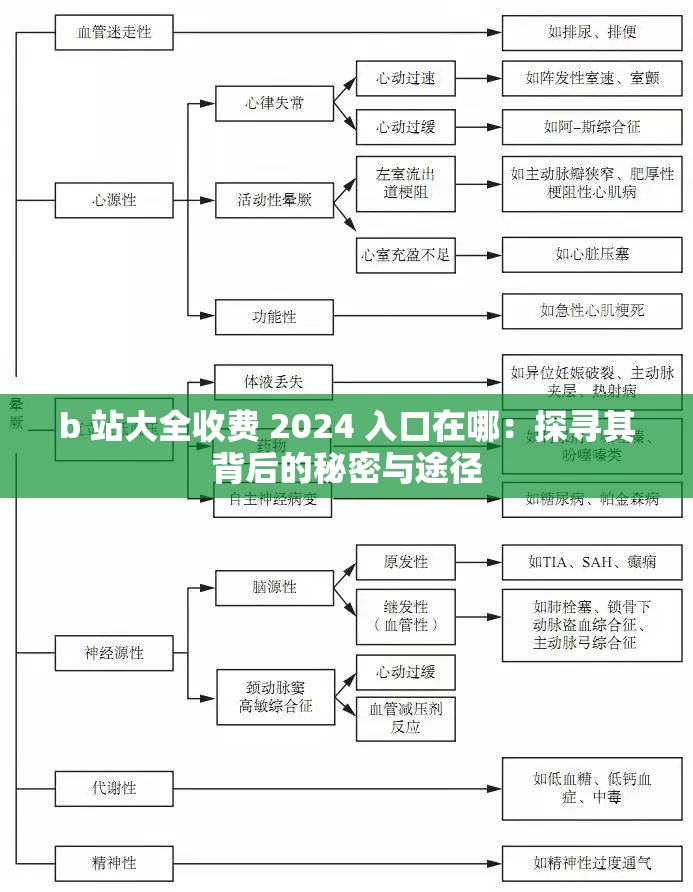 b 站大全收费 2024 入口在哪：探寻其背后的秘密与途径