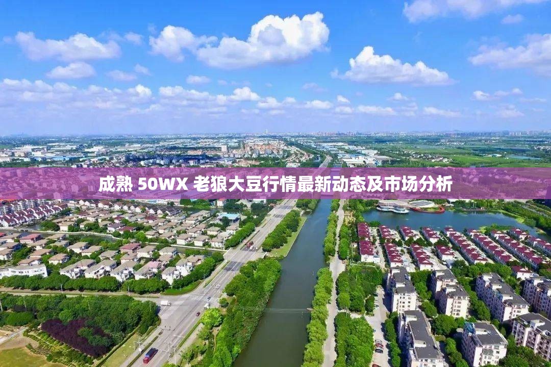 成熟 50WX 老狼大豆行情最新动态及市场分析