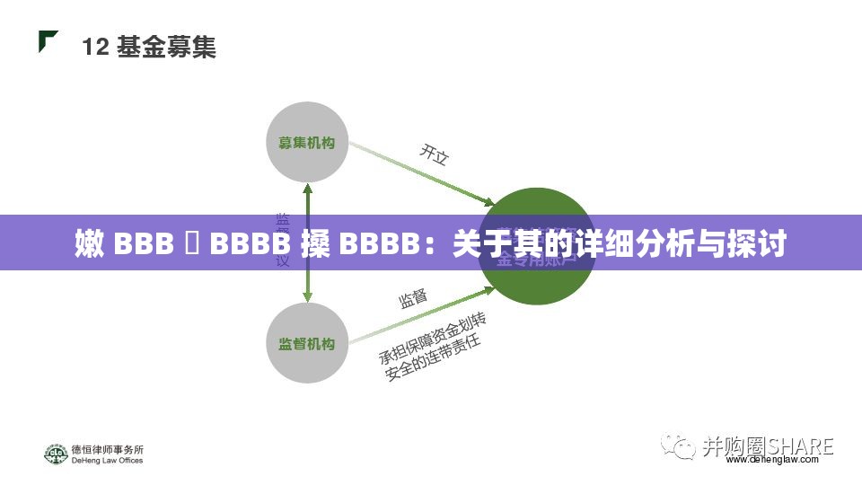 嫩 BBB 槡 BBBB 搡 BBBB：关于其的详细分析与探讨