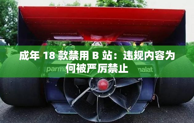 成年 18 款禁用 B 站：违规内容为何被严厉禁止