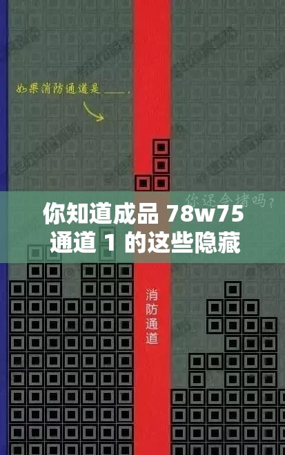 你知道成品 78w75 通道 1 的这些隐藏特色吗：详细解读与分析