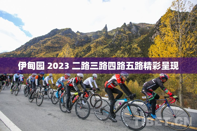 伊甸园 2023 二路三路四路五路精彩呈现