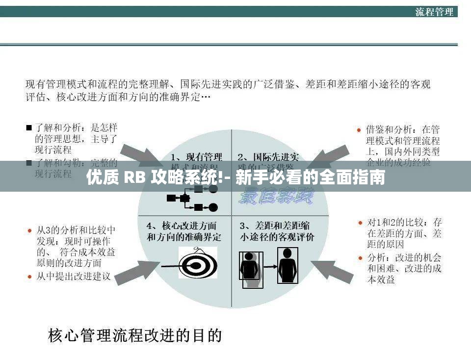 优质 RB 攻略系统!- 新手必看的全面指南