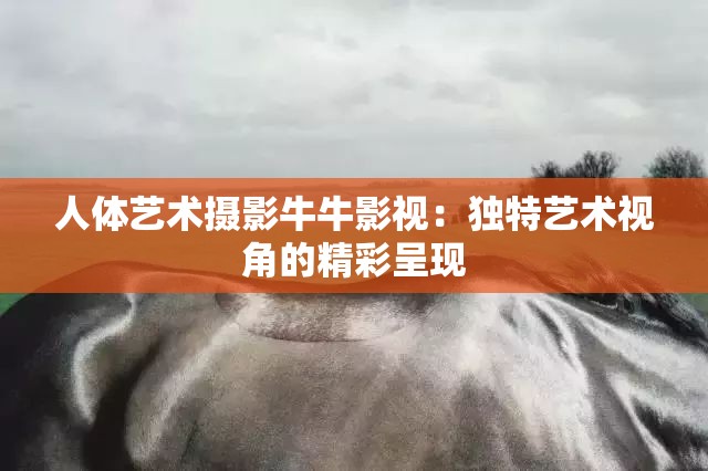 人体艺术摄影牛牛影视：独特艺术视角的精彩呈现