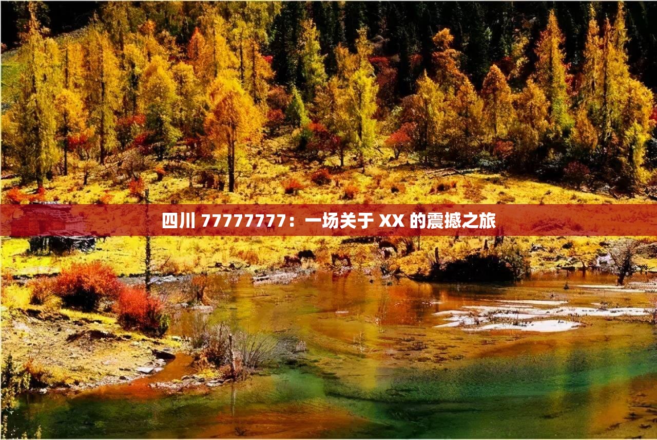 四川 77777777：一场关于 XX 的震撼之旅