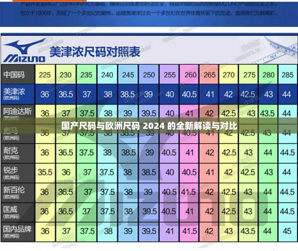 国产尺码与欧洲尺码 2024 的全新解读与对比