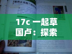 17c 一起草国卢：探索历史风云中的传奇故事