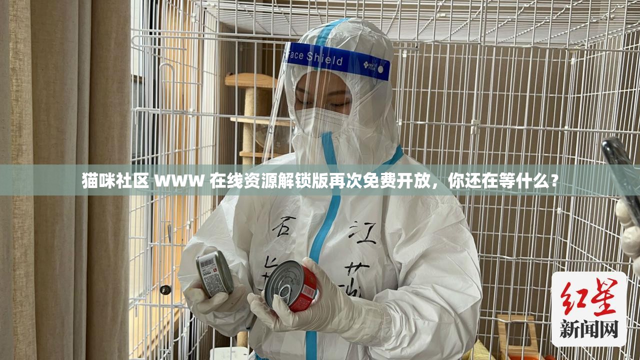 猫咪社区 WWW 在线资源解锁版再次免费开放，你还在等什么？