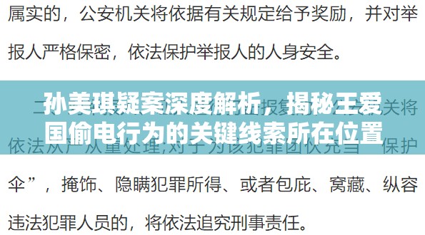 孙美琪疑案深度解析，揭秘王爱国偷电行为的关键线索所在位置