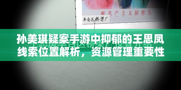 孙美琪疑案手游中抑郁的王思凤线索位置解析，资源管理重要性及高效搜寻策略