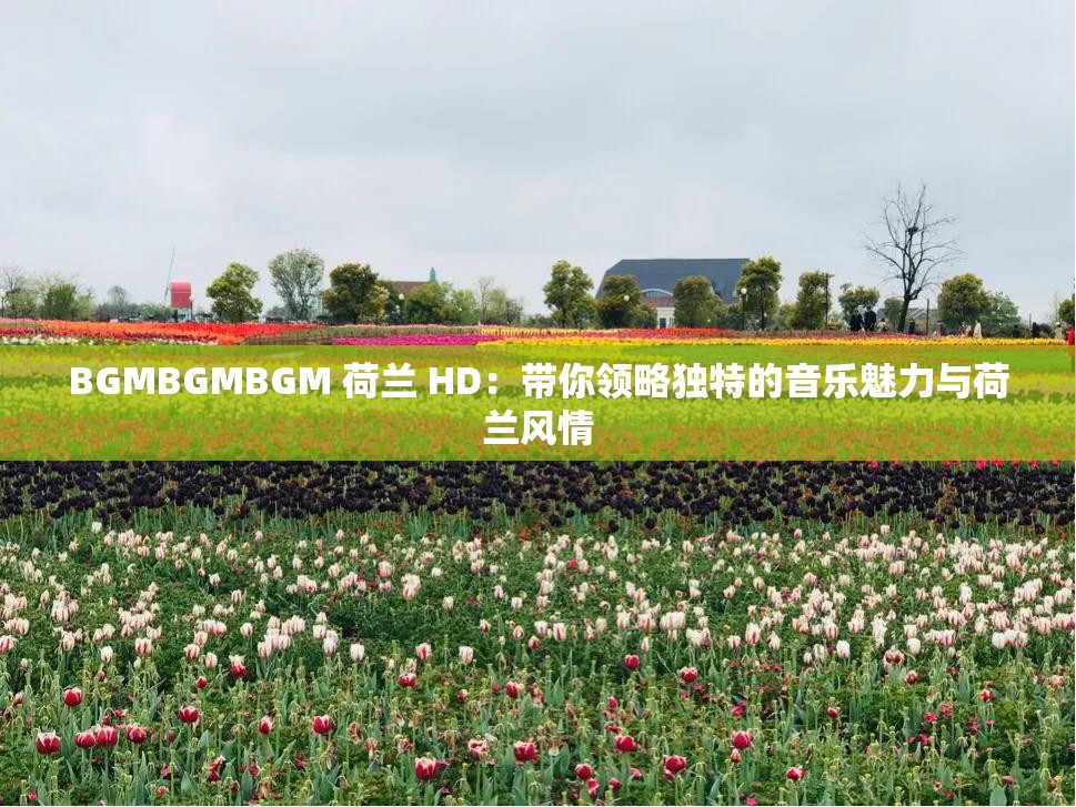 BGMBGMBGM 荷兰 HD：带你领略独特的音乐魅力与荷兰风情