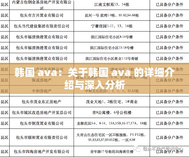 韩国 ava：关于韩国 ava 的详细介绍与深入分析