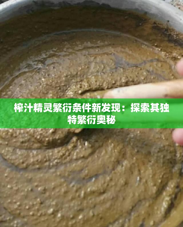 榨汁精灵繁衍条件新发现：探索其独特繁衍奥秘