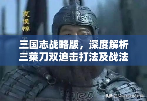 三国志战略版，深度解析三菜刀双追击打法及战法搭配攻略