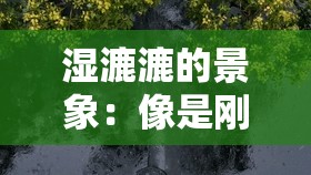 湿漉漉的景象：像是刚下过雨般的独特氛围