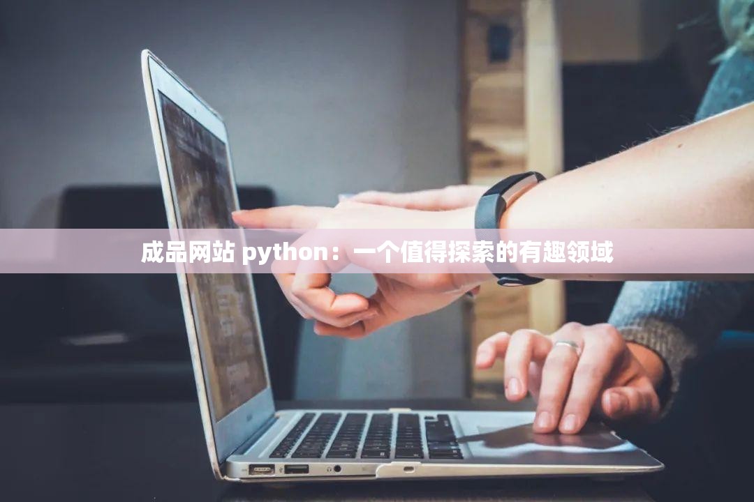 成品网站 python：一个值得探索的有趣领域