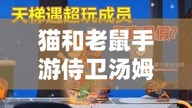 猫和老鼠手游侍卫汤姆价格推测及资源管理高效策略