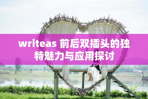 writeas 前后双插头的独特魅力与应用探讨