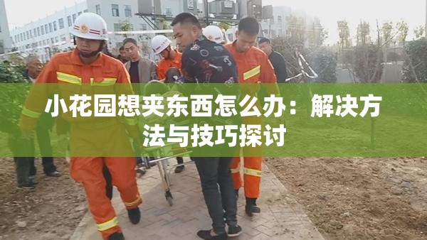 小花园想夹东西怎么办：解决方法与技巧探讨