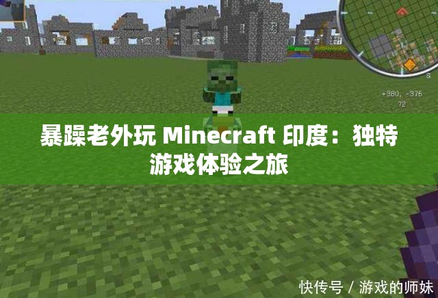 暴躁老外玩 Minecraft 印度：独特游戏体验之旅