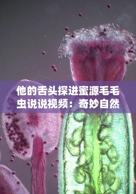 他的舌头探进蜜源毛毛虫说说视频：奇妙自然探索之旅