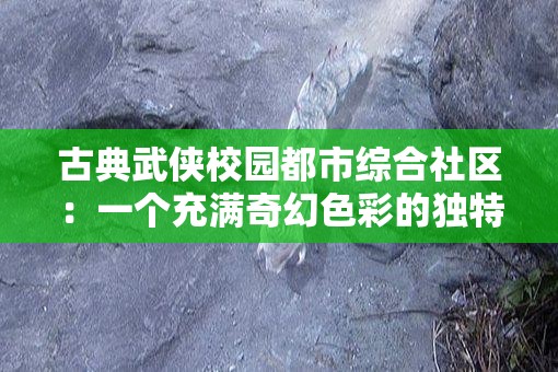 古典武侠校园都市综合社区：一个充满奇幻色彩的独特世界