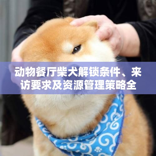 动物餐厅柴犬解锁条件、来访要求及资源管理策略全面优化指南