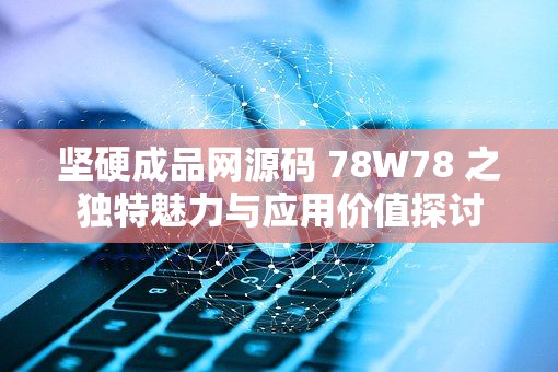 坚硬成品网源码 78W78 之独特魅力与应用价值探讨