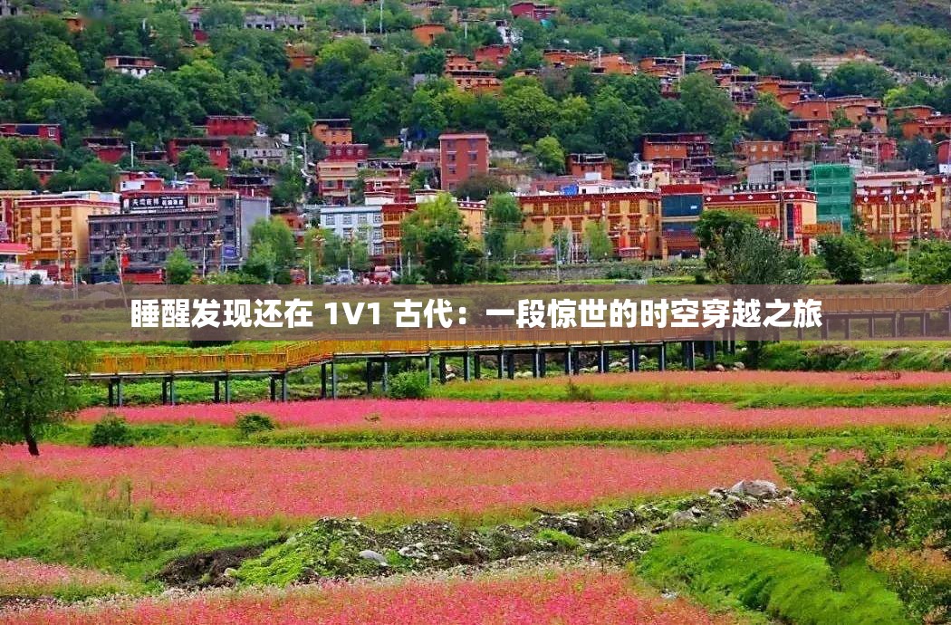 睡醒发现还在 1V1 古代：一段惊世的时空穿越之旅