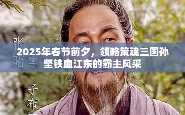 2025年春节前夕，领略策魂三国孙坚铁血江东的霸主风采