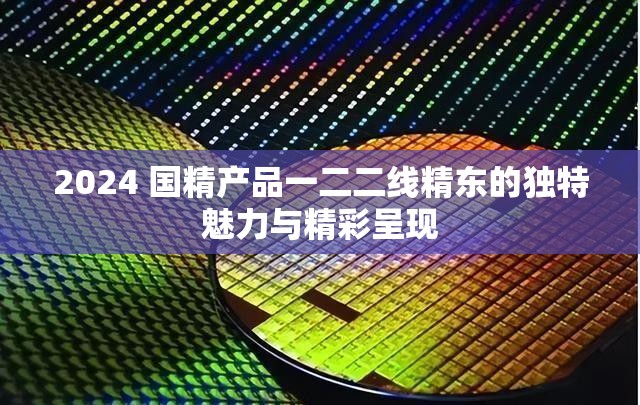 2024 国精产品一二二线精东的独特魅力与精彩呈现