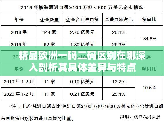 精品欧洲一码二码区别在哪深入剖析其具体差异与特点